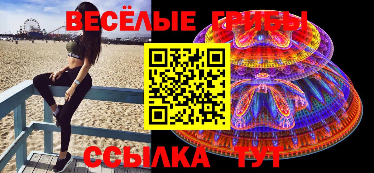 Ишимбай  Псилоцибиновые грибы MAGIC MUSHROOMS  как найти наркотики  Вход с VPN 